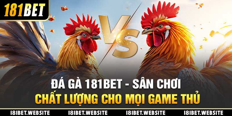 Đá Gà 181BET - Sân Chơi Chất Lượng Cho Mọi Game Thủ