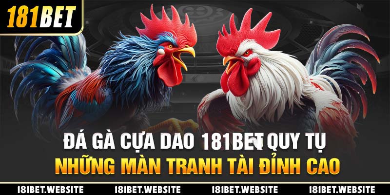 Đá Gà Cựa Dao 181BET: Quy Tụ Những Màn Tranh Tài Đỉnh Cao